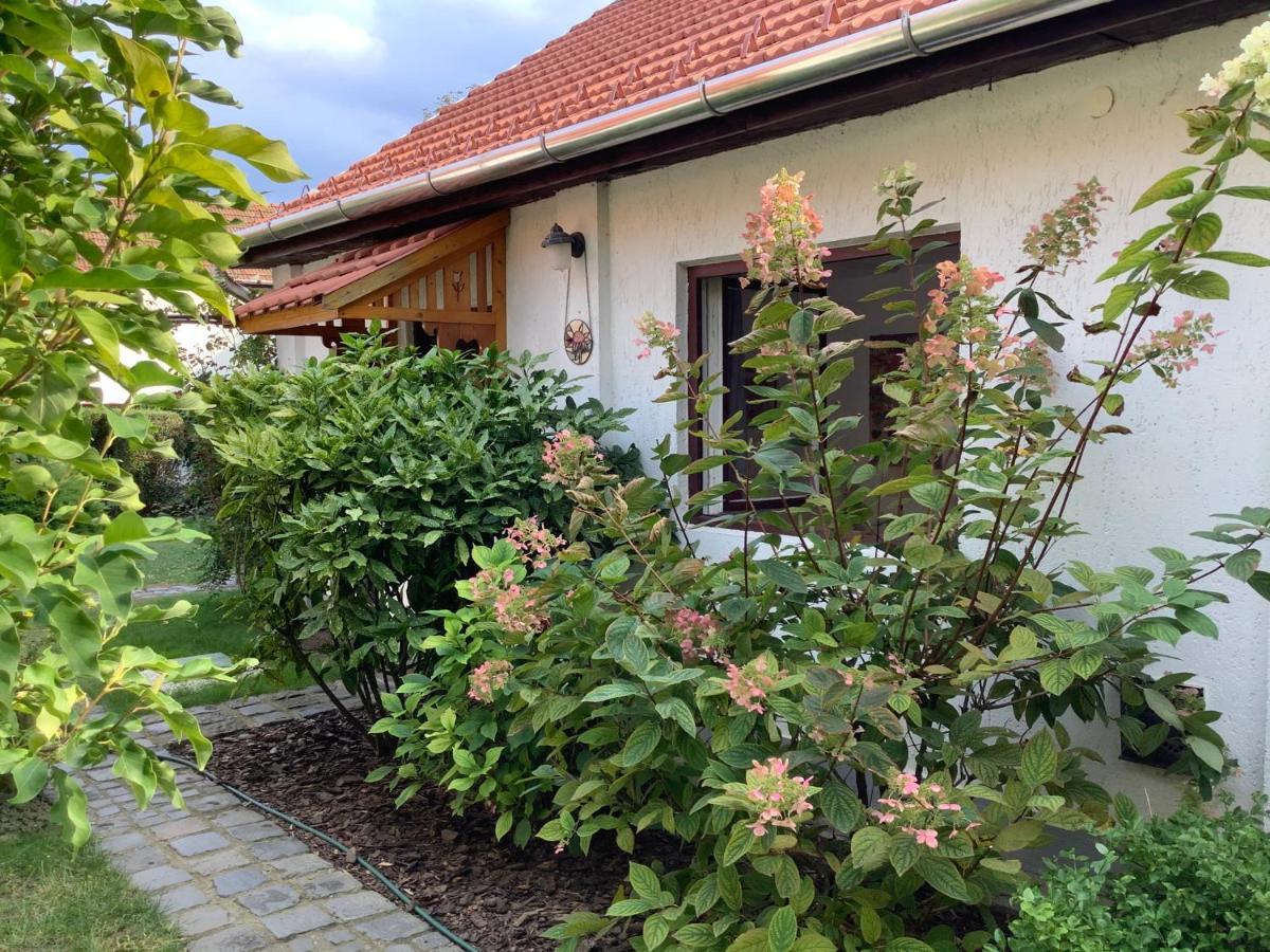 Apartamento Magnolia Garden Miskolc Exterior foto