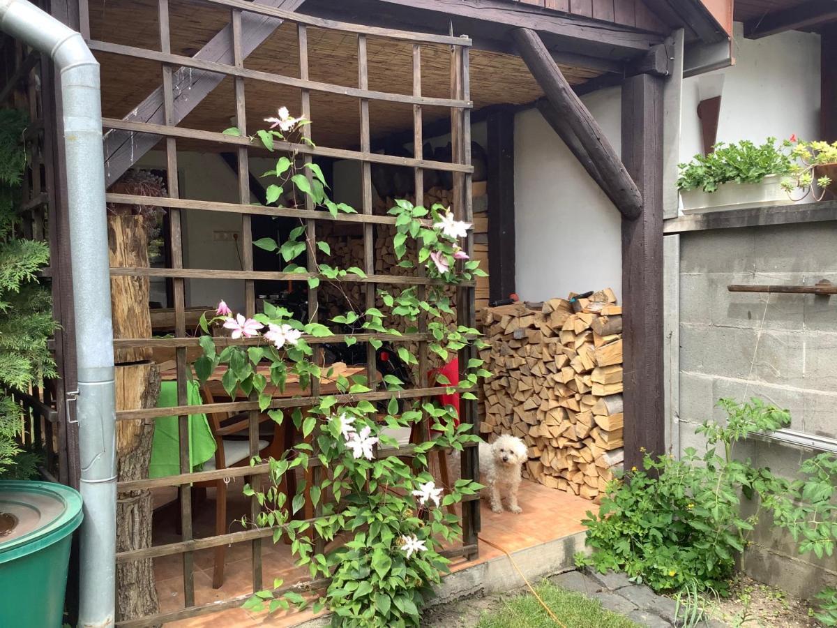 Apartamento Magnolia Garden Miskolc Exterior foto